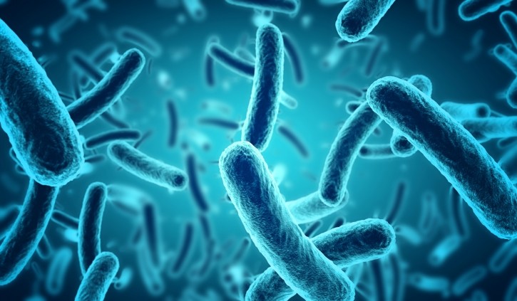 Global Probiotics Market Outlook 2025 – Market Value to Reach 2,034 Million USD